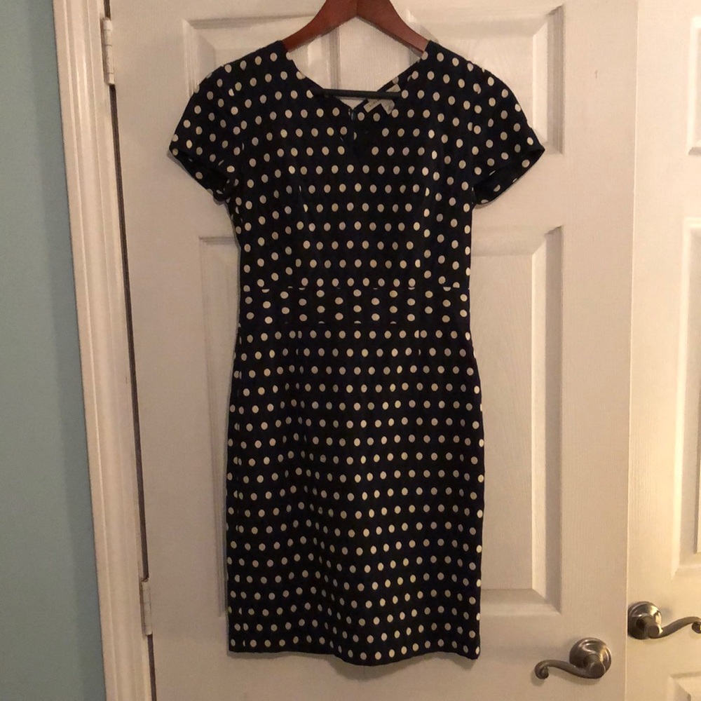 Banana Republic Polka Dot Dress